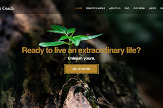 redesign or design life coach website blog website healthcare website