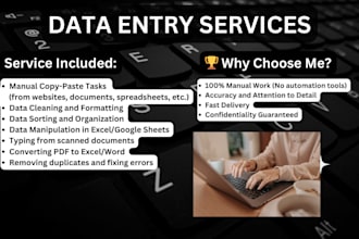 help with data entry, data sorting and document formatting