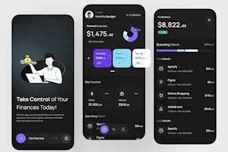build finance app, robo advisor app, insurance app, budget app, crowdfunding app