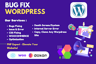 fix wordpress issues, errors, bugs, css, provide wp help