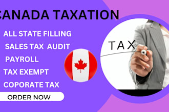 efile canada tax return business t2 and personal t1 CPA tax