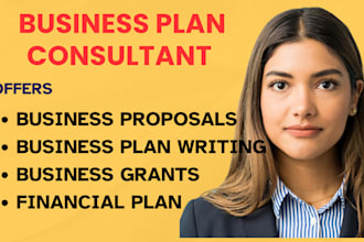 be your business plan consultant and pitch deck writer