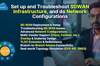 set up, troubleshoot sdwan infrastructure, and do network configurations