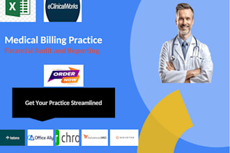 prepare medical billing reports and audits for USA doctors