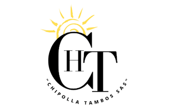 diseñaré tu logotipo profesional con identidad visual única