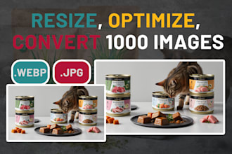resize, optimize, convert to webp the images for the web