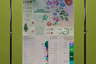 design stunning infographics for your business or data needs