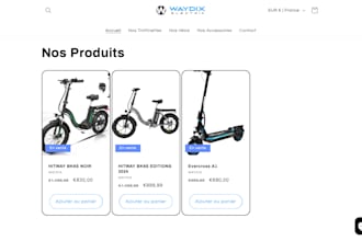 shopify website and management