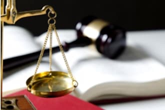 professionally litigate and be your paralegal