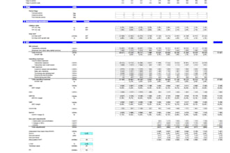 build customized financial models