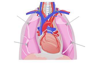 draw medical illustrations for your book, ebook, website, and medical app