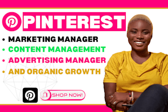 be your professional pinterest marketing manager, ads campaign, seo and capi
