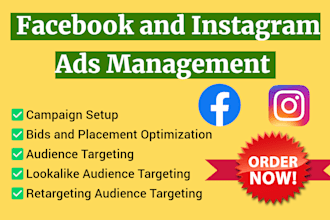 setup facebook and instagram ads campaign
