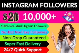 increase your instagram page followers from usa 1000 number super fast
