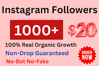 increase your instagram page followers from usa 1000 number super fast