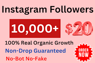 increase your instagram page followers from usa 1000 number super fast