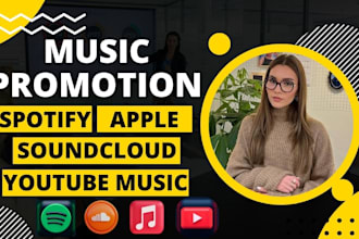 organic spotify soundcloud apple youtube music promotion using google ads