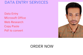 do data entry, internet research and data analysis