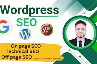 monthly wordpress SEO services increase visibility and traffic your site