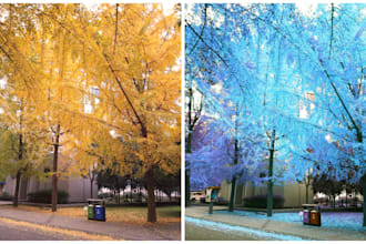 manipulate the color of your image