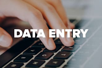help you do data entry typing work in excel spreadsheet