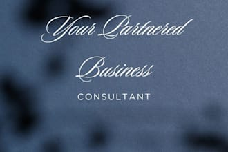 provide business consultancy services tailored to your needs