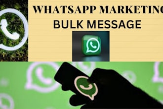 bulk whatsapp messaging software setup and configuration