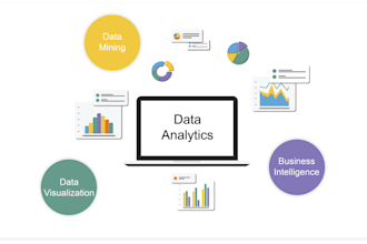 be your data analyst and excel dashboard expert