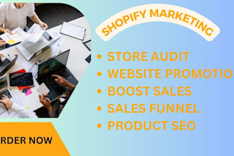 do shopify promotion store audit increase shopify sales