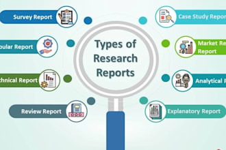 do statistical reports and summaries