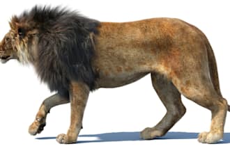 do 3d animal model 3d cute animal model animal animation xgen hair realistic fur