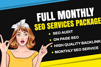 provide website audit, on page seo and fix technical issues