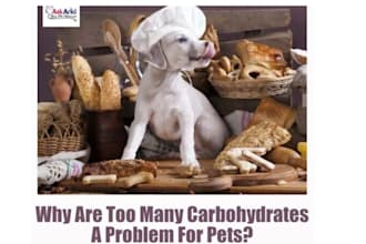 do safe pet care and pet food and supplement formulation
