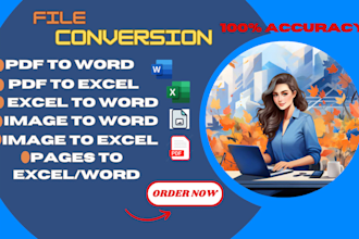 do file conversion professional typing scanned images etc