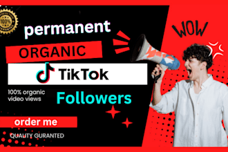 do your organic tik tok promotion and marketing
