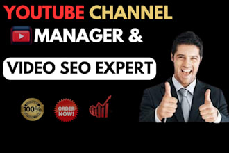 do best youtube video SEO expert and channel manager