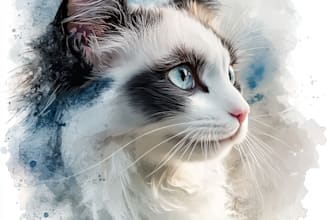 draw cat dog or your pet into vector portrait design