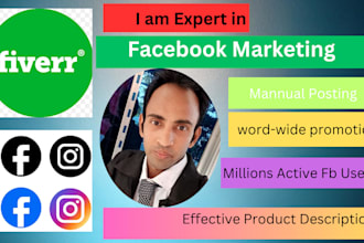 promote your product link  on my facebook profile