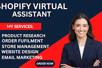 shopify virtual assistant store manager shopify sales marketing cro audit fb USA
