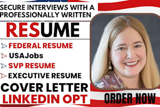 craft ats friendly aviation federal usajobs vp svp director executive IT resume