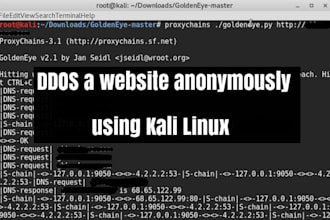 secure your website, ddos attack, hack website, website security kali linux