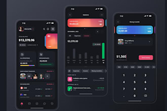 design credit repair ui ux, repair website credit repair app, software developer
