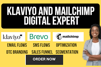 setup mailchimp klaviyo email campaign flows segmentation sequence dtc brand sms