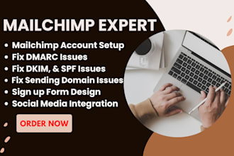 setup fix shopify klaviyo mailchimp form, dmarc, dkim, spf, sending domain issue