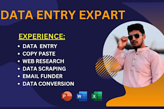 provide fastest data entry web scraping copy pest