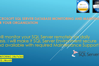 provide sql dba  remote support 24x7 for buusiness operation worldwide