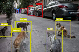 do object detection, image classification, tracking, and segmentation