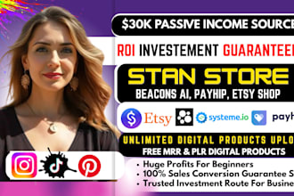 do stan store, etsy shop, beacons ai store, systeme io, stan store marketing