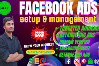 setup instagram facebook ads campaign optimization