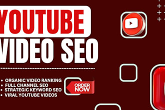 do youtube channel SEO and video optimization
